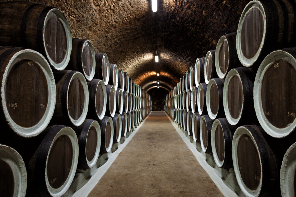 Cave d'élevage du vin en fûts de chêne
