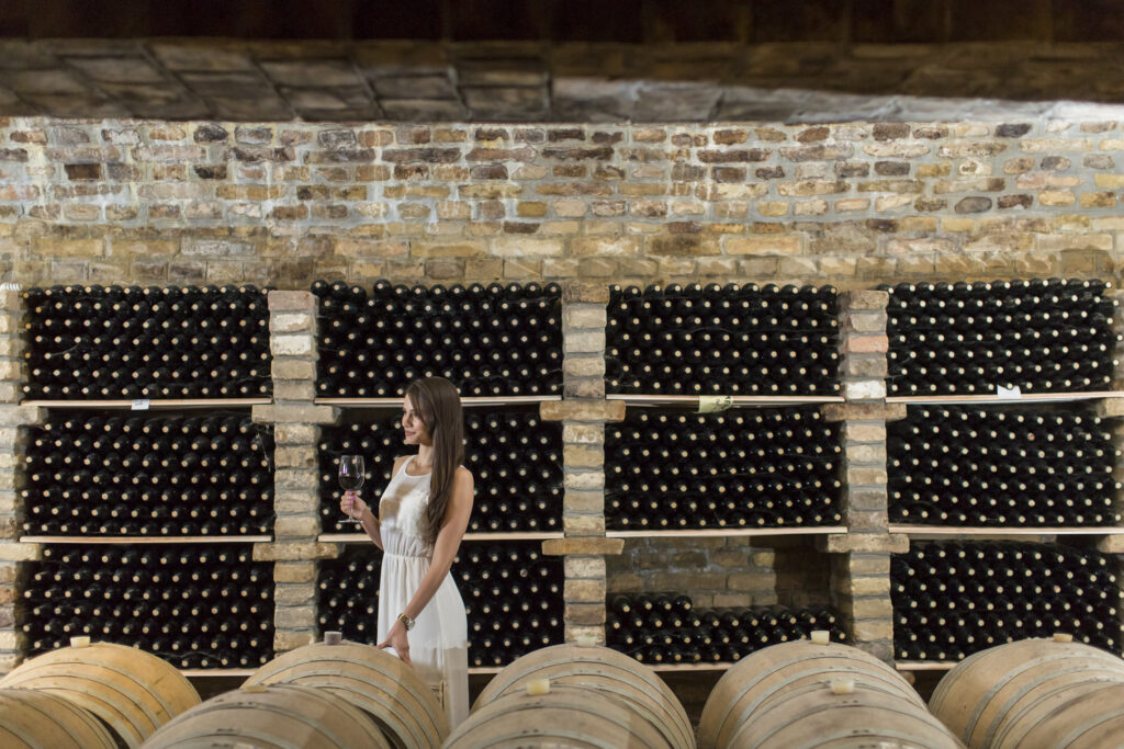 Dégustation de vin dans une cave de luxe