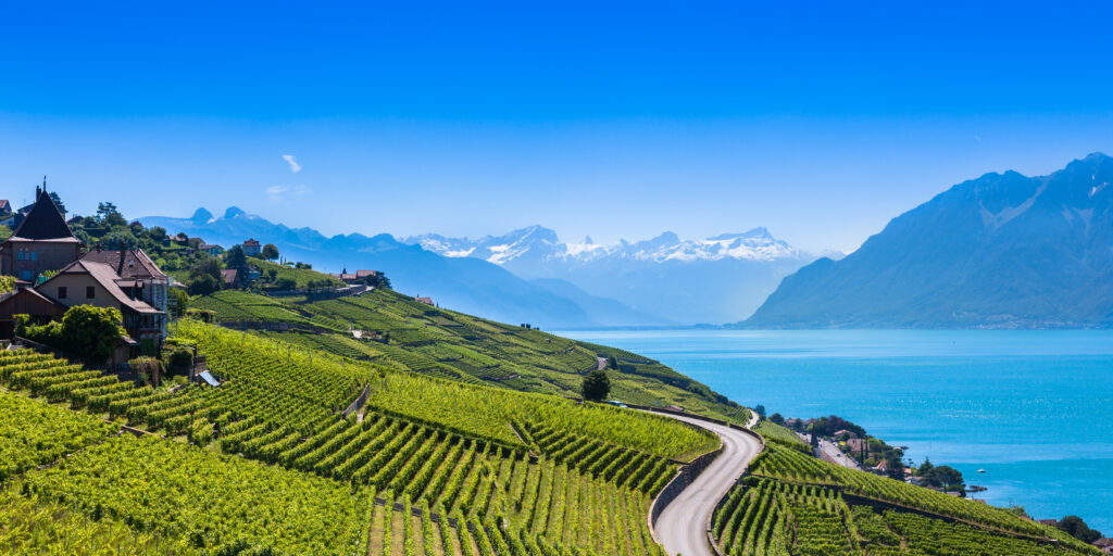 Vignobles en terrasses de Lavaux, Suisse