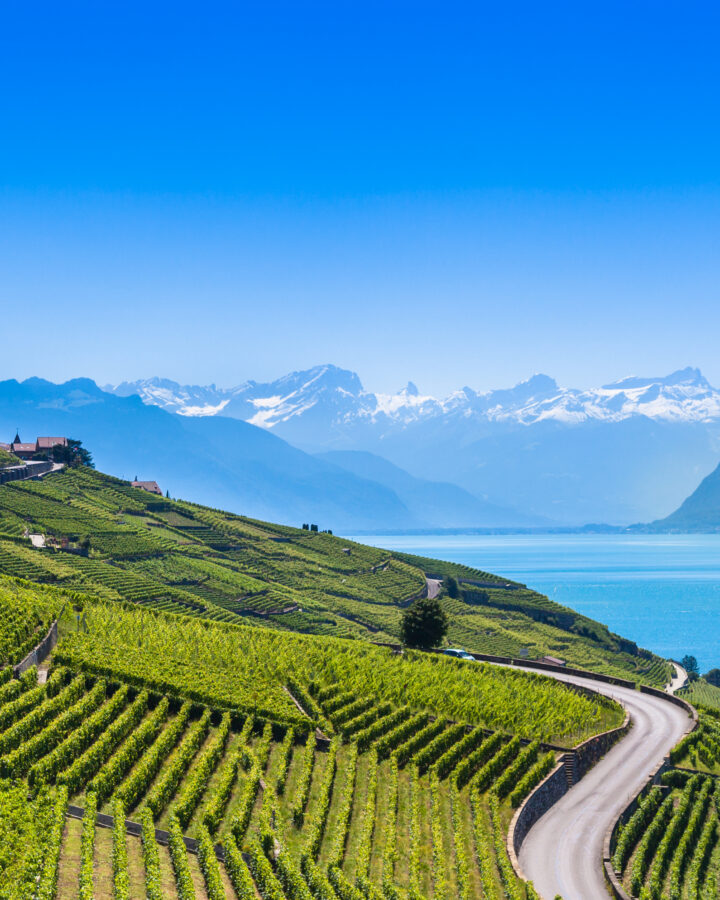 Cinq vins suisses rares à découvrir