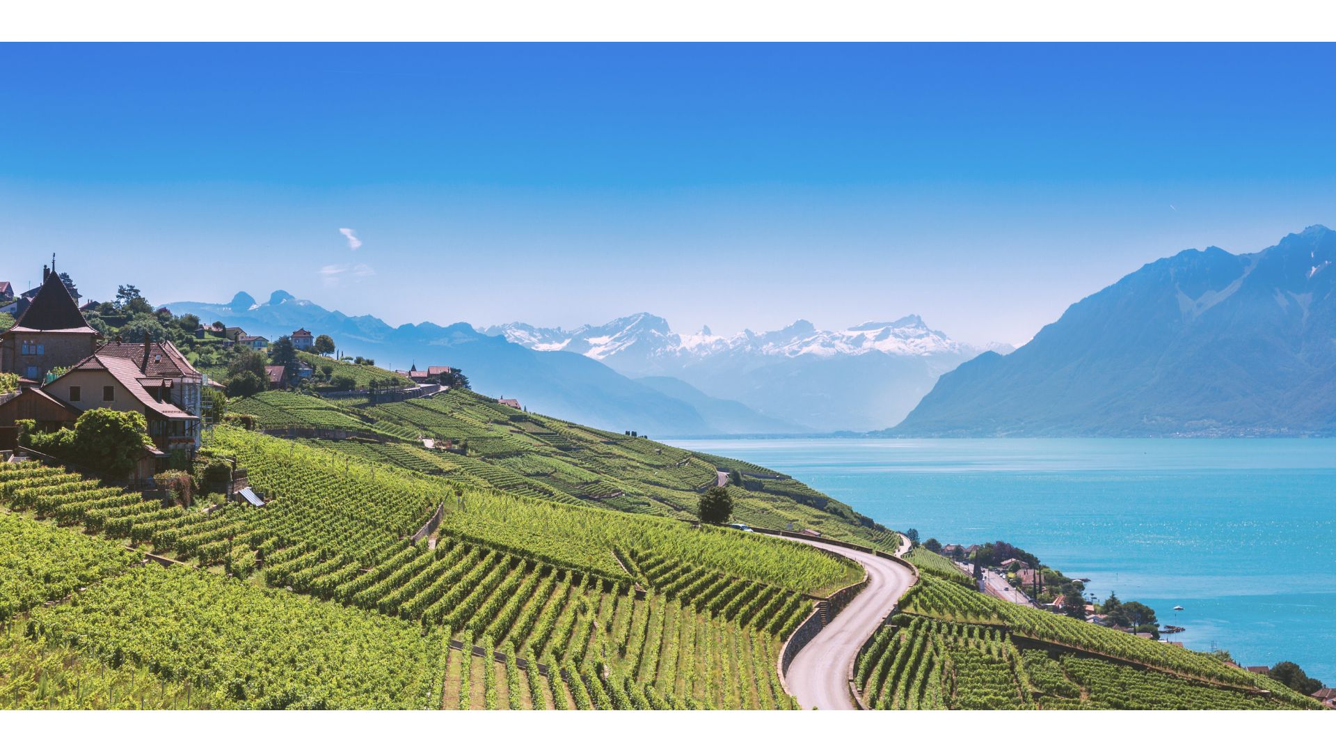 Domaine Caroline Frey, vignoble biodynamique du Valais