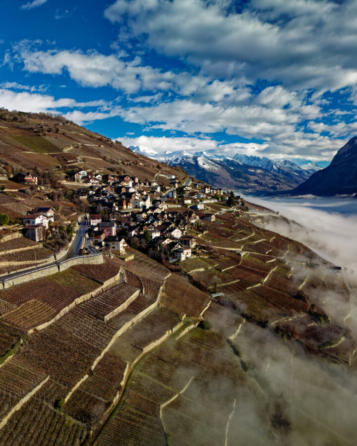 Le Vin de l&rsquo;A