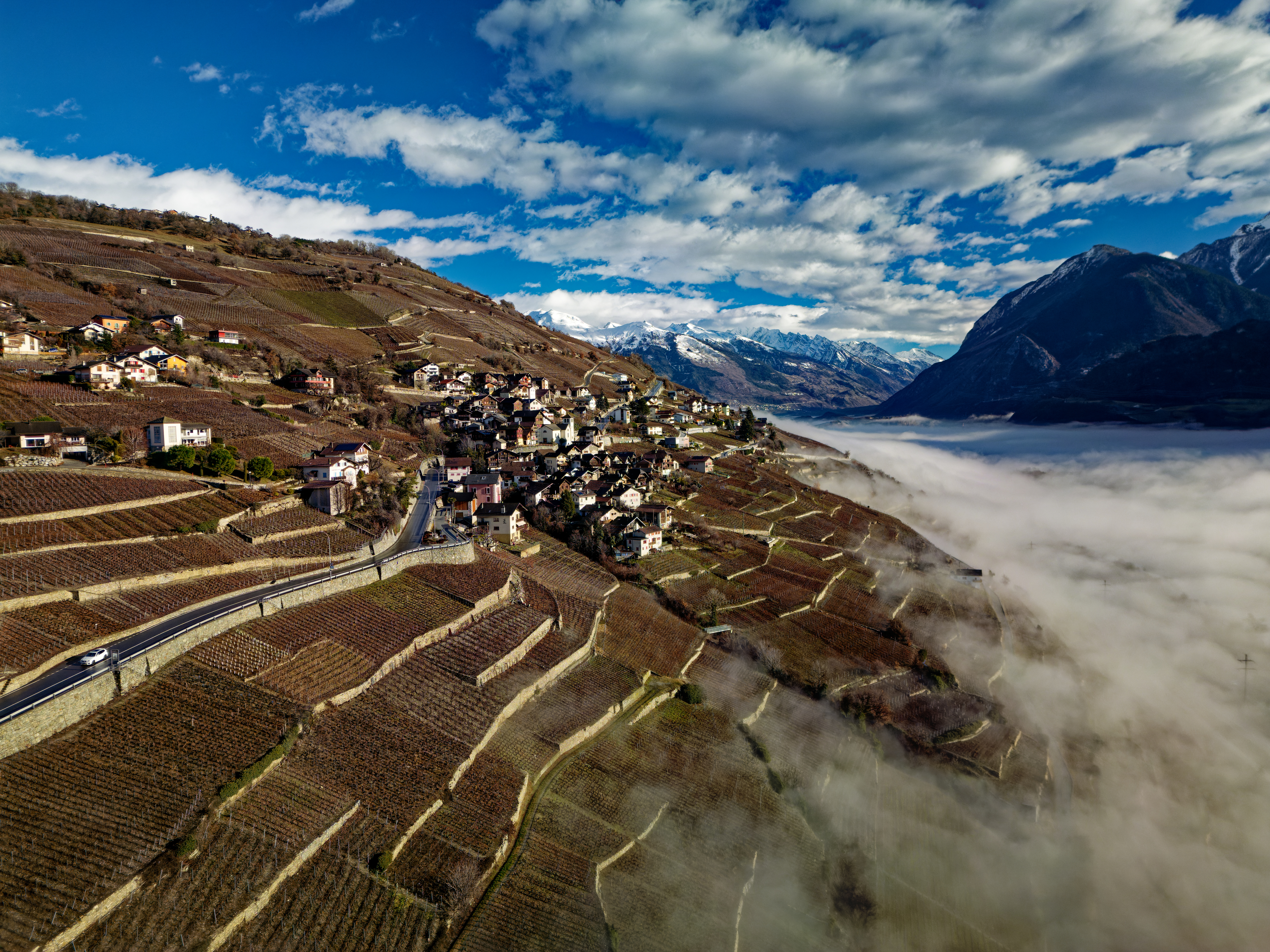 Le Vin de l'A, vignoble en terrasses du Valais